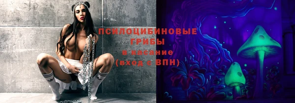 метамфетамин Елизово