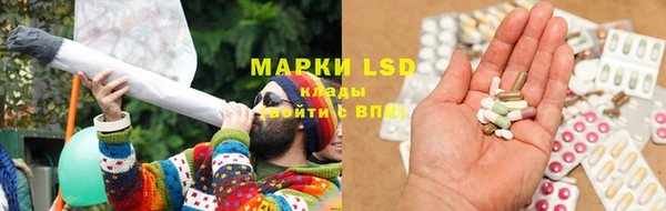 спиды Ельня