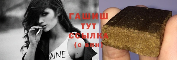 спиды Ельня
