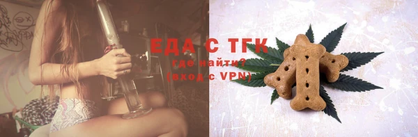 спиды Ельня