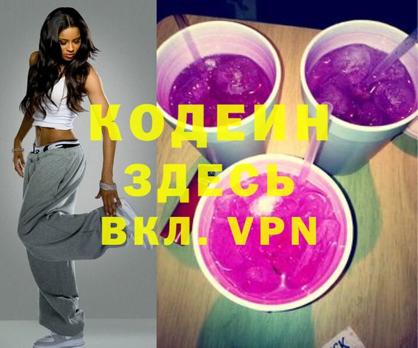 спиды Ельня