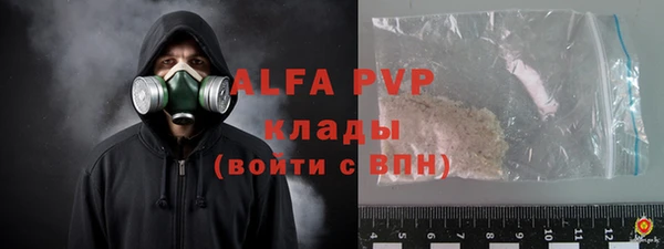спиды Ельня
