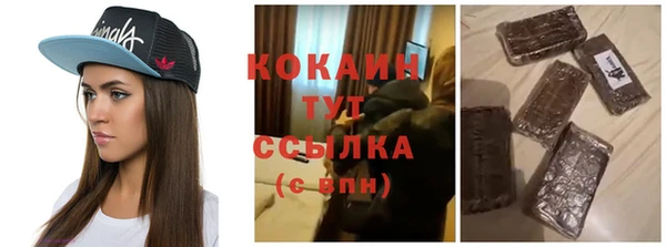 спиды Ельня