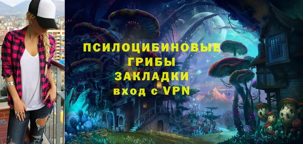 метамфетамин Елизово