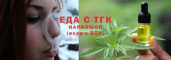 спиды Ельня