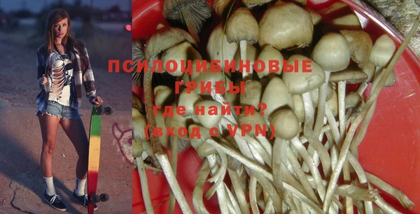 спиды Ельня