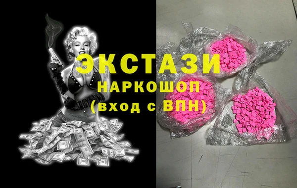 спиды Ельня