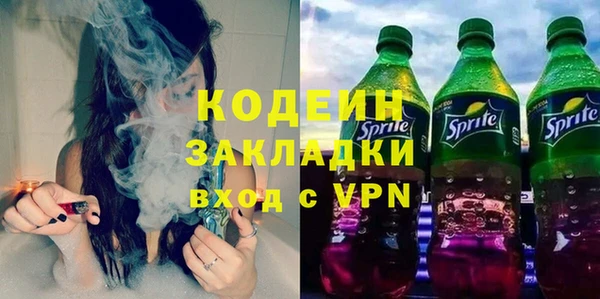 спиды Ельня