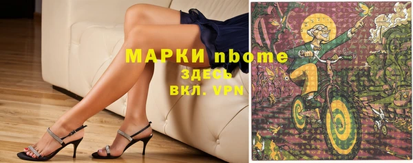спиды Ельня