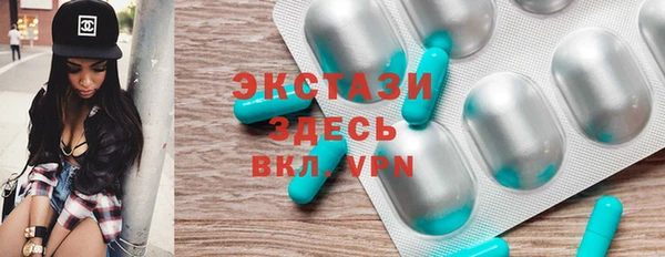 спиды Ельня