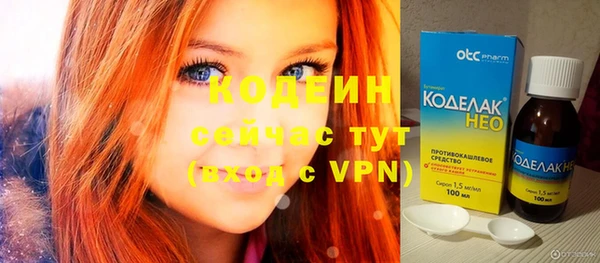 спиды Ельня