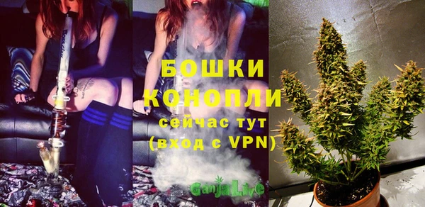 спиды Ельня