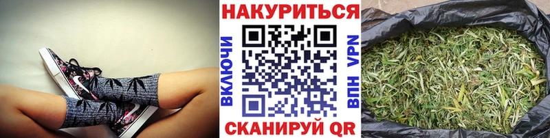цены   Кашин  Каннабис сатива 